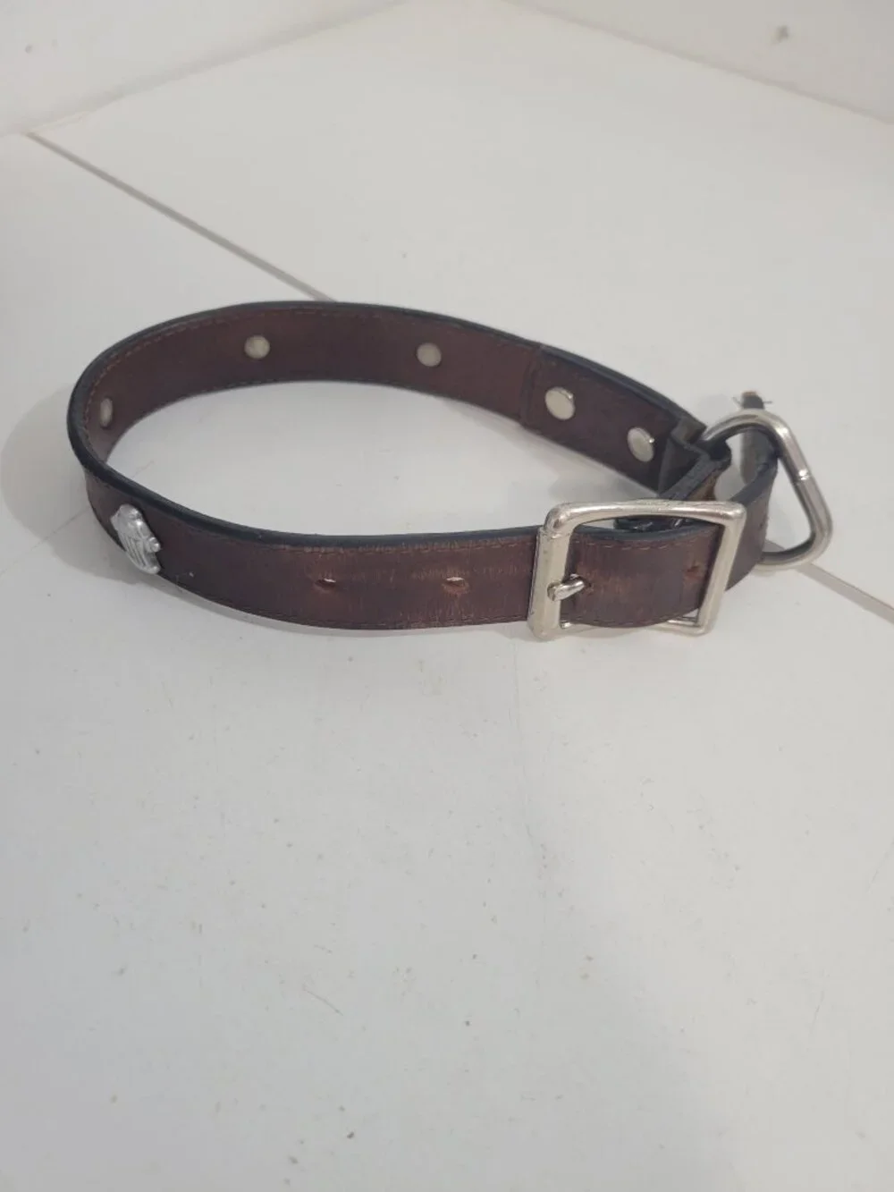 Leather Dog Collar for Medium Dog